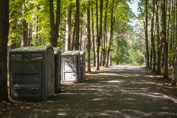 Best Porta potty rental near me  in Johnsburg, IL