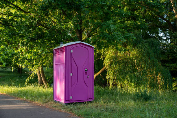 Best Local porta potty services  in Johnsburg, IL